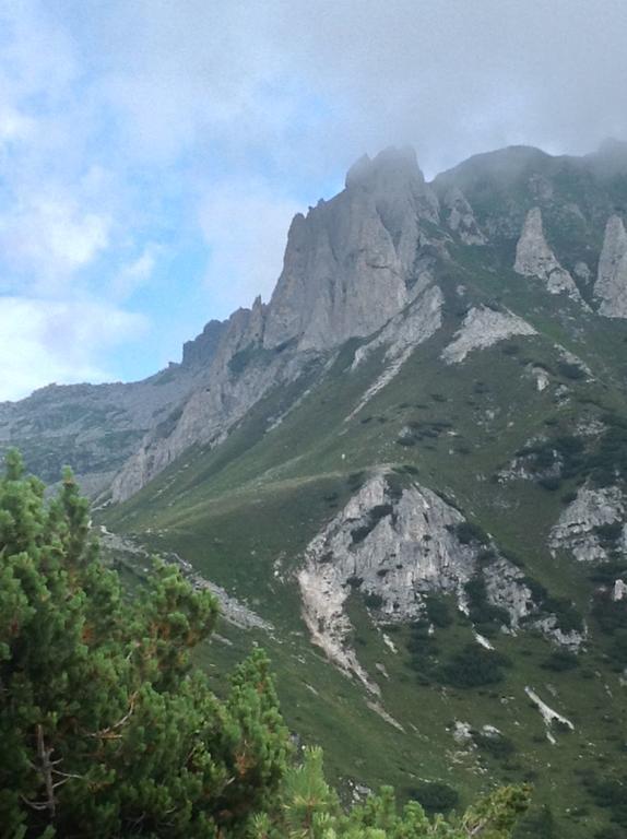 Affittacamere Valle Dorizzo Di Scavoni Paolo Val Dorizzo Kültér fotó