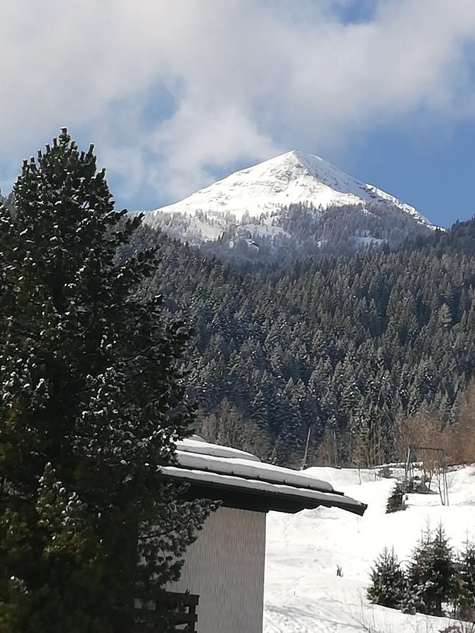 Affittacamere Valle Dorizzo Di Scavoni Paolo Val Dorizzo Kültér fotó